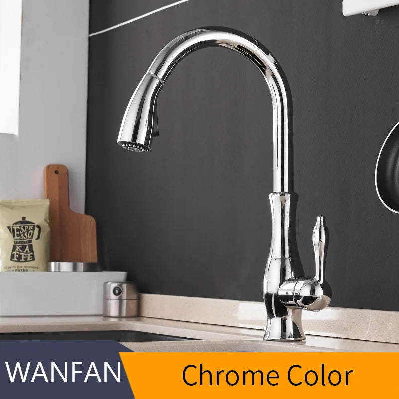 Wanfan Kitchen Pull-Out Faucet