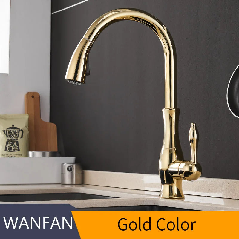 Wanfan Kitchen Pull-Out Faucet
