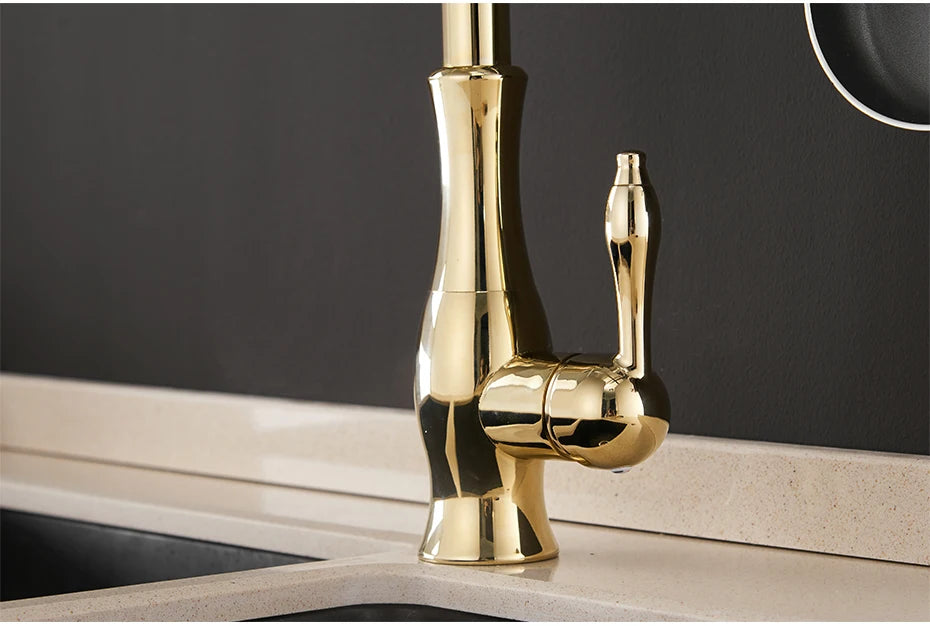 Wanfan Kitchen Pull-Out Faucet