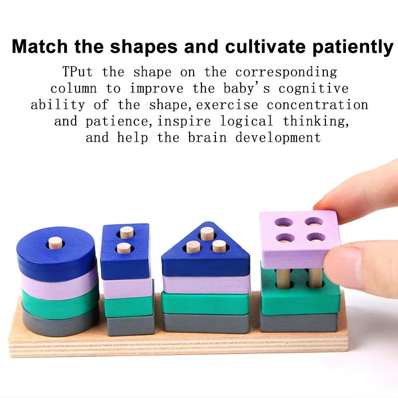 Montessori Wooden Colour & Shape Matching Puzzle