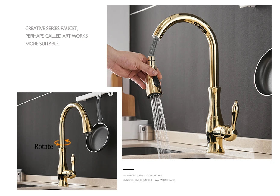 Wanfan Kitchen Pull-Out Faucet