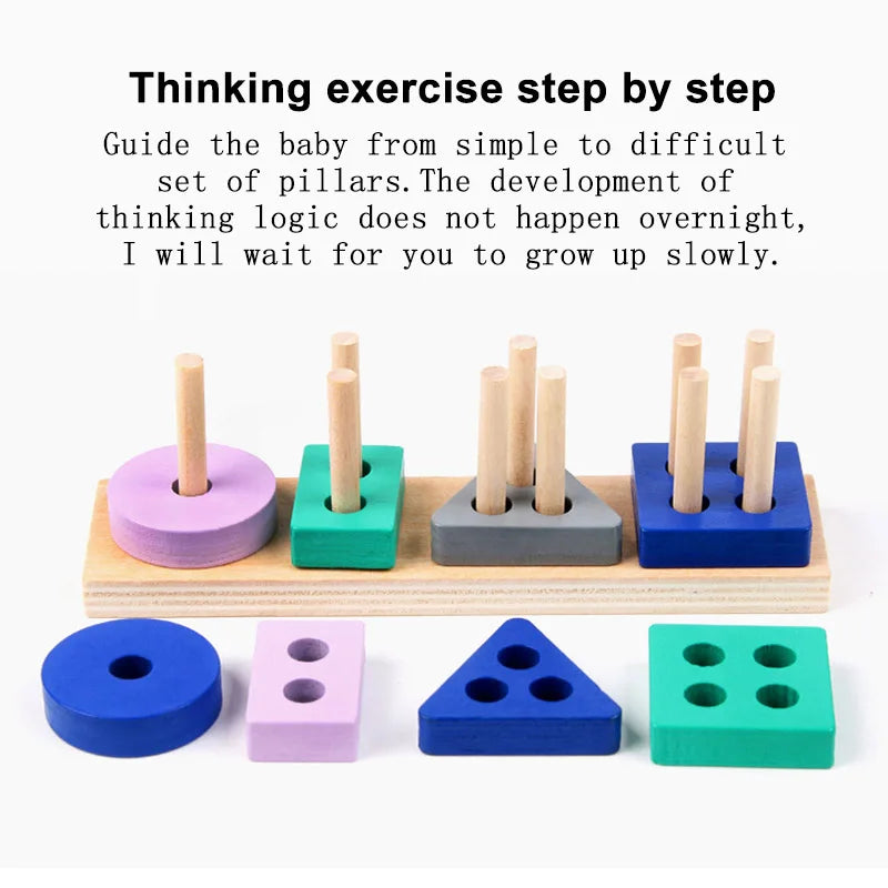 Montessori Wooden Colour & Shape Matching Puzzle