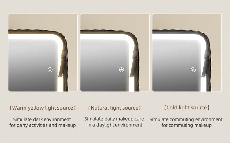 Makeup Travel Train Case with LED Mirror