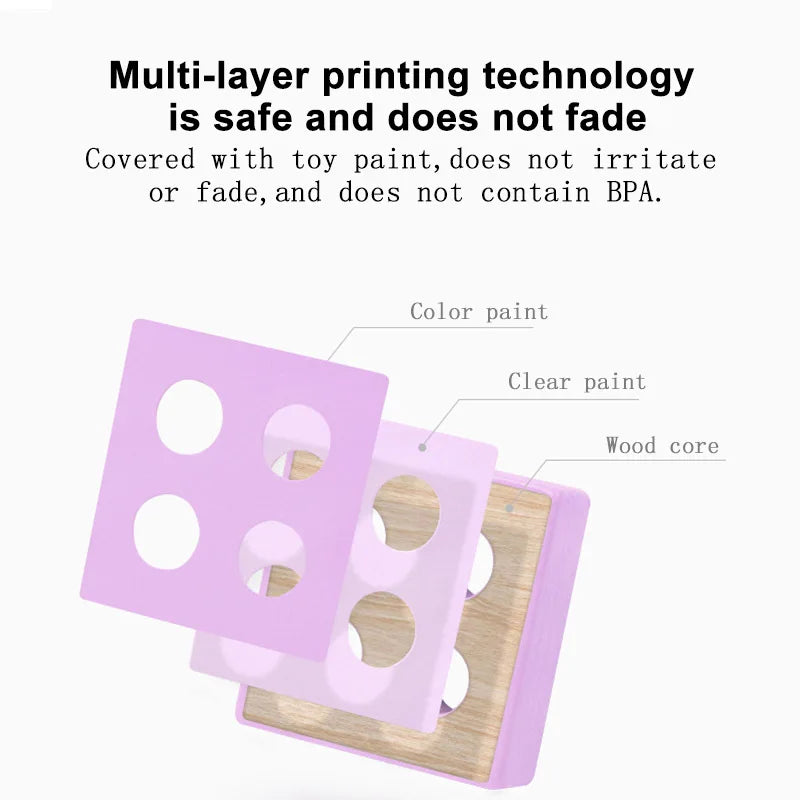 Montessori Wooden Colour & Shape Matching Puzzle
