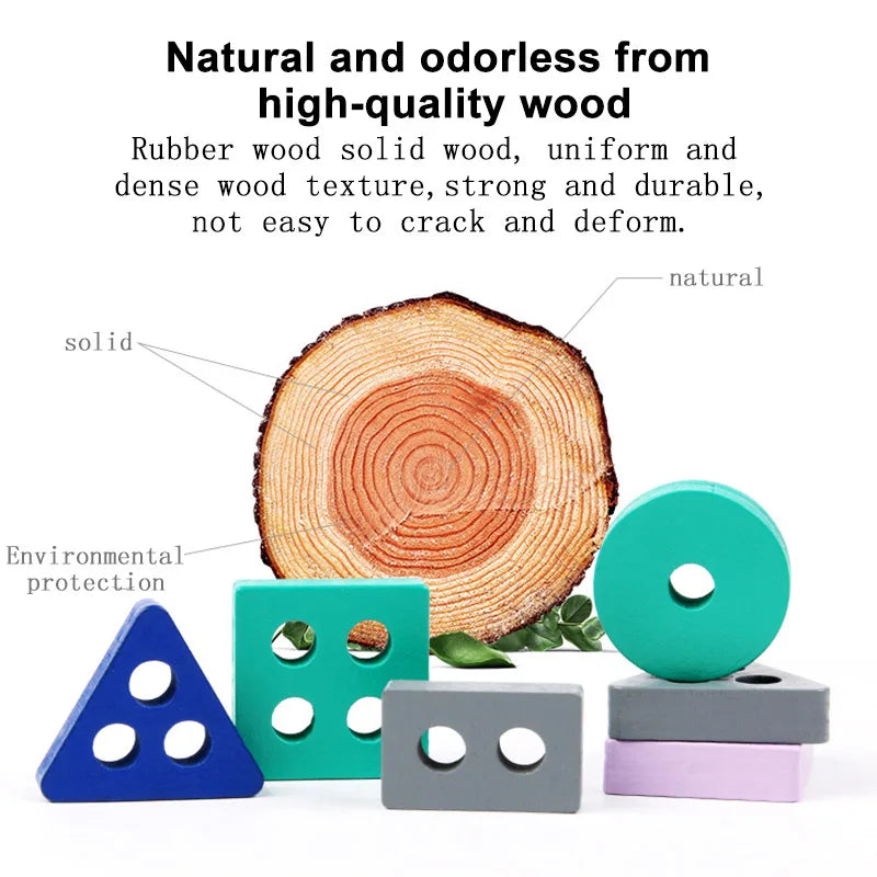 Montessori Wooden Colour & Shape Matching Puzzle