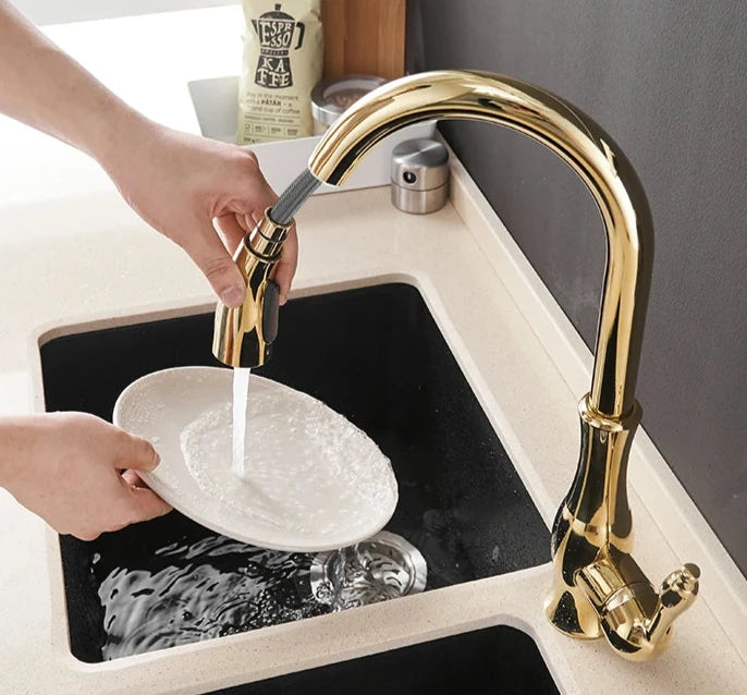 Wanfan Kitchen Pull-Out Faucet