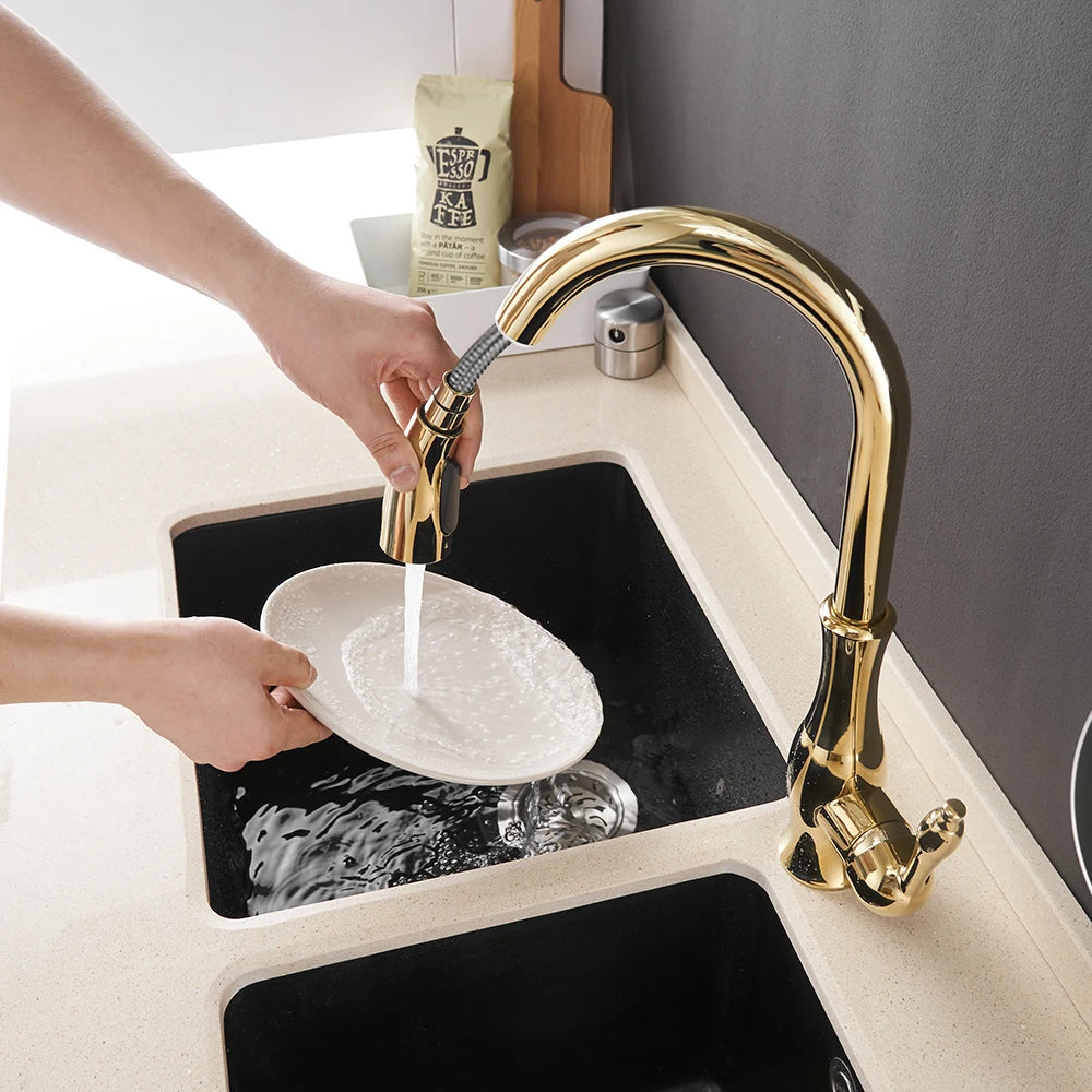 Wanfan Kitchen Pull-Out Faucet