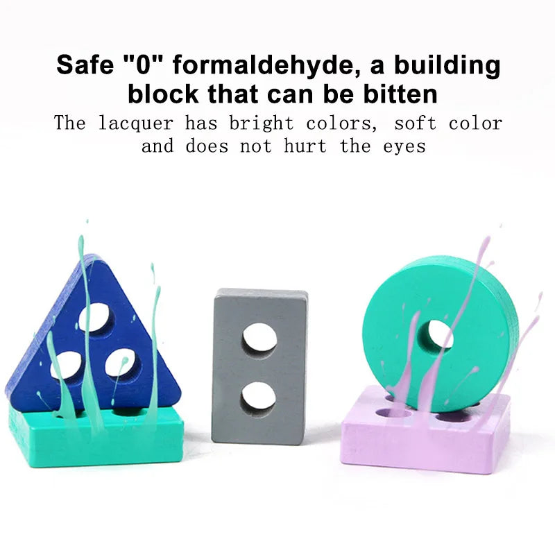 Montessori Wooden Colour & Shape Matching Puzzle