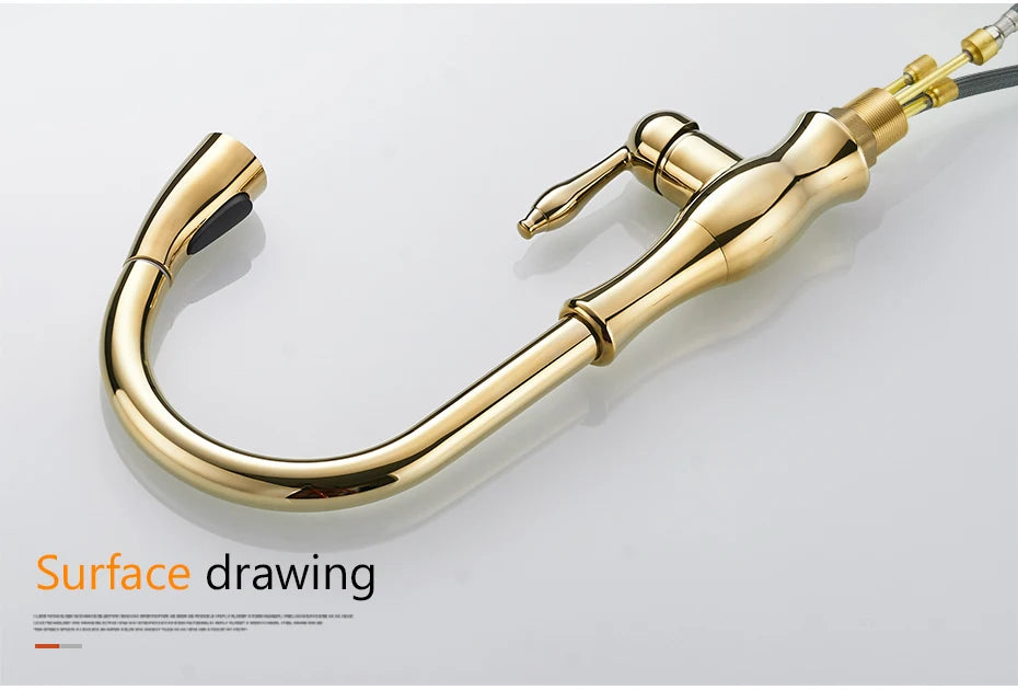 Wanfan Kitchen Pull-Out Faucet