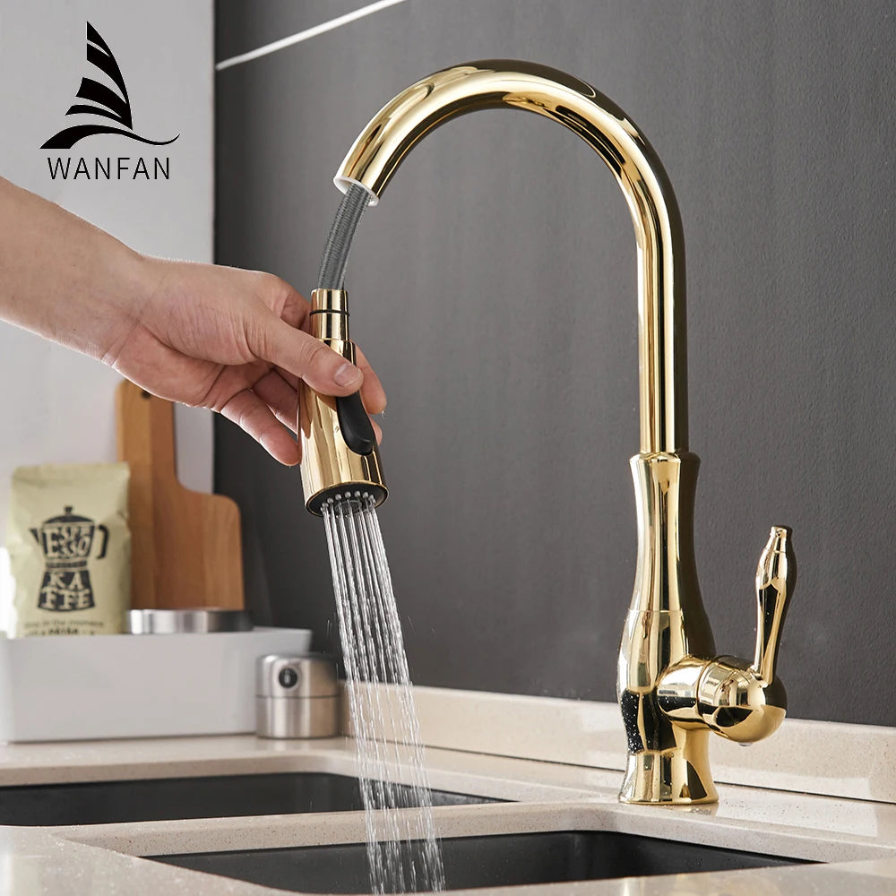Wanfan Kitchen Pull-Out Faucet