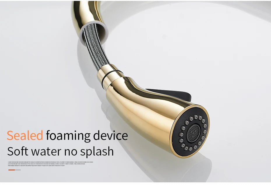 Wanfan Kitchen Pull-Out Faucet