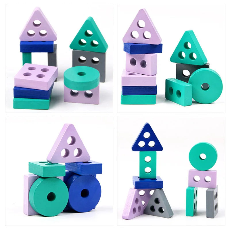 Montessori Wooden Colour & Shape Matching Puzzle