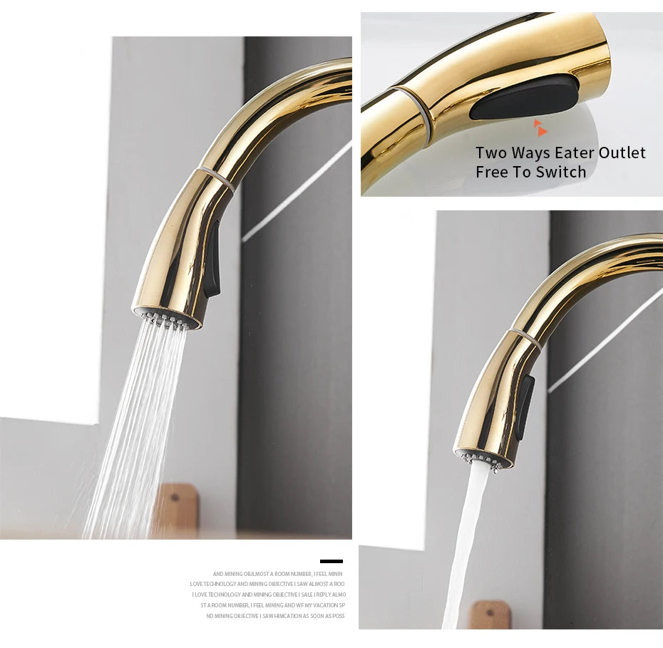 Wanfan Kitchen Pull-Out Faucet