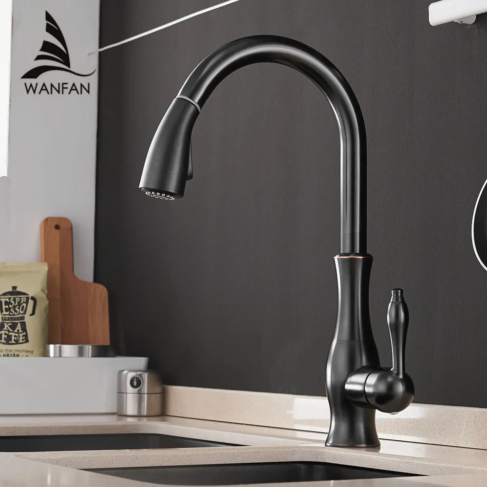 Wanfan Kitchen Pull-Out Faucet